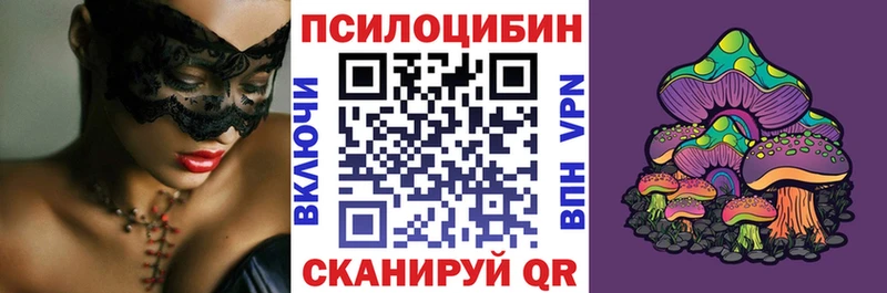 где можно купить   Змеиногорск  Галлюциногенные грибы ЛСД 