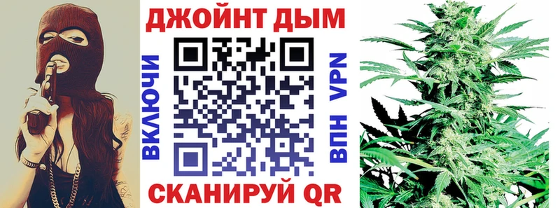 как найти закладки  ссылка на мегу вход  Конопля сатива  Змеиногорск 